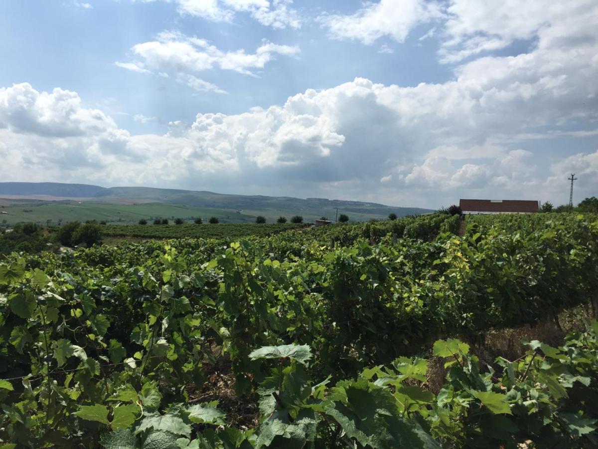 투르다 Wineyards Salin B&B 외부 사진