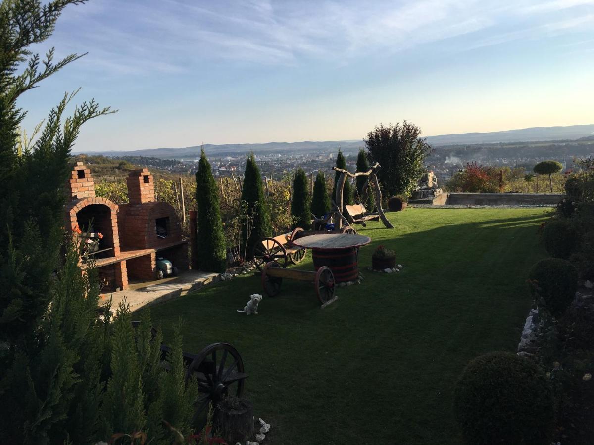 투르다 Wineyards Salin B&B 외부 사진