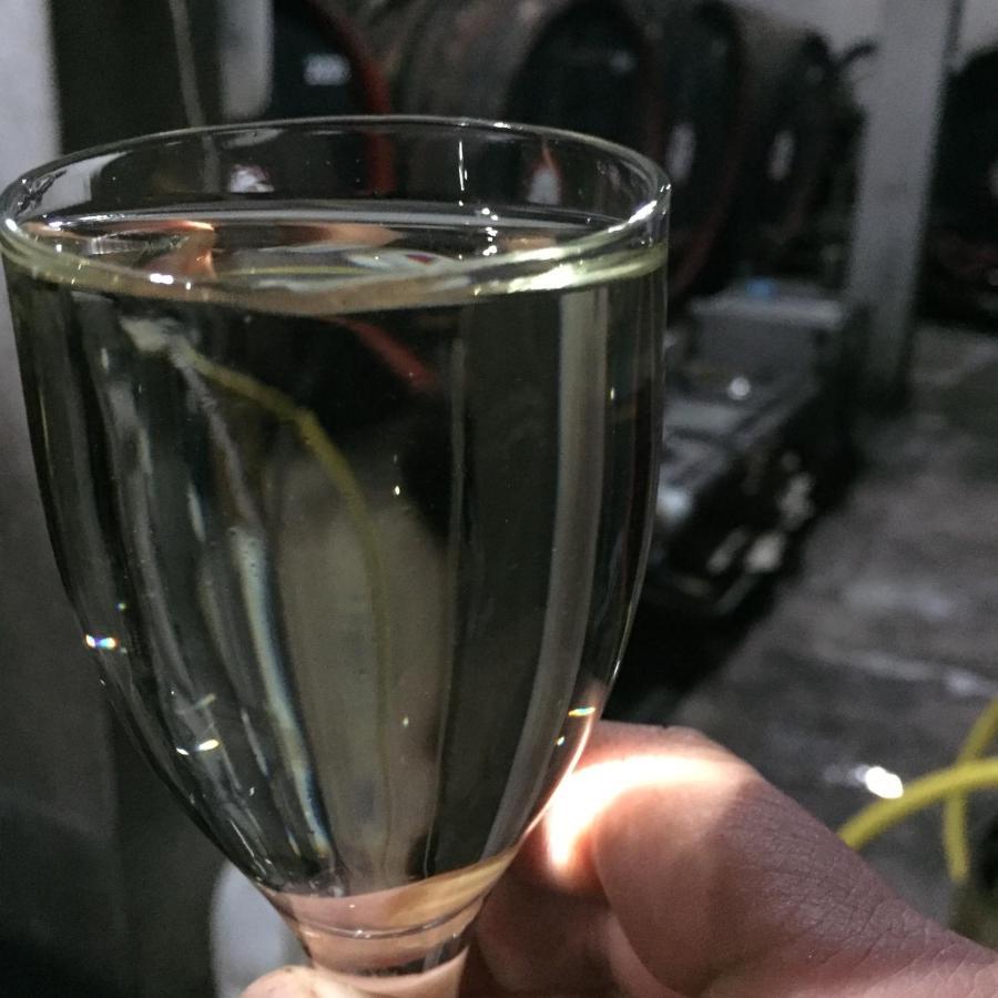 투르다 Wineyards Salin B&B 외부 사진