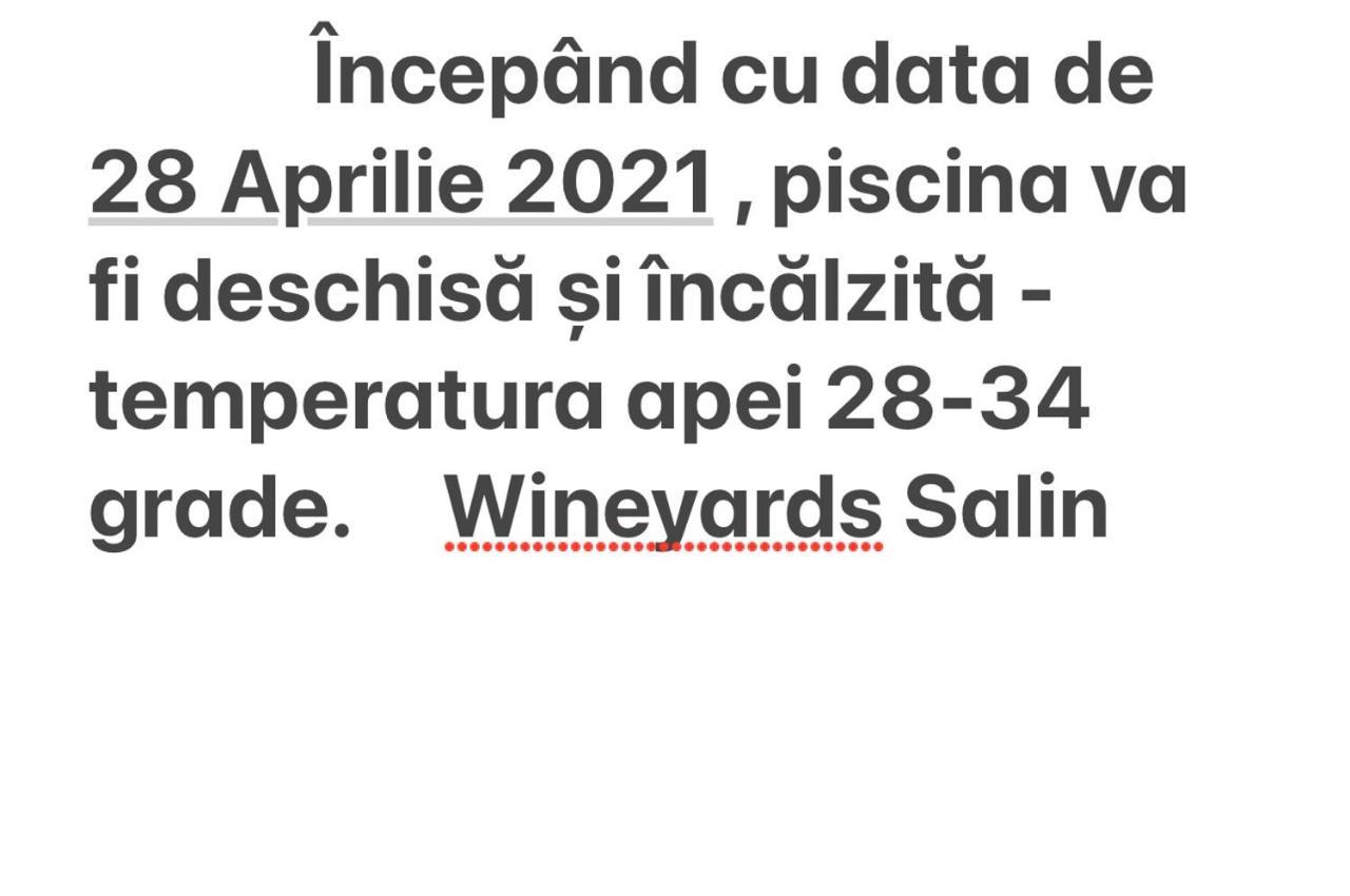 투르다 Wineyards Salin B&B 외부 사진