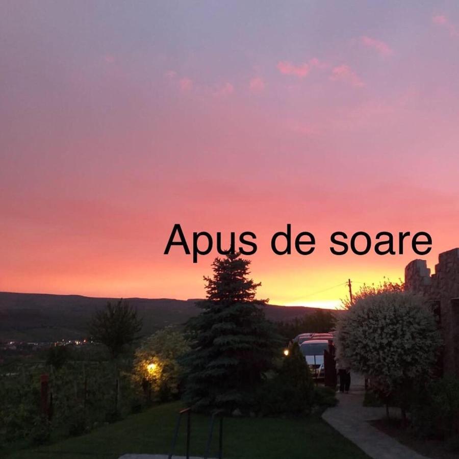 투르다 Wineyards Salin B&B 외부 사진