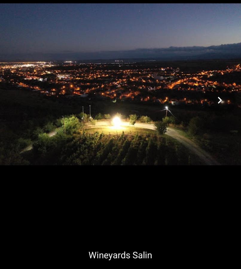 투르다 Wineyards Salin B&B 외부 사진
