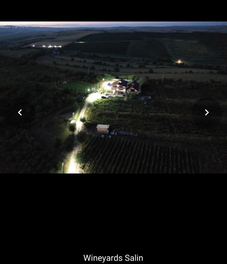 투르다 Wineyards Salin B&B 외부 사진