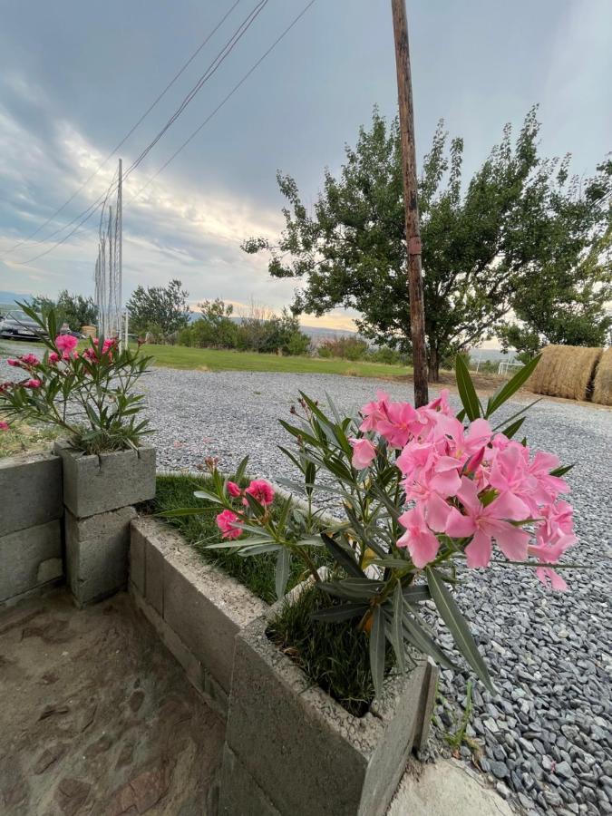 투르다 Wineyards Salin B&B 외부 사진