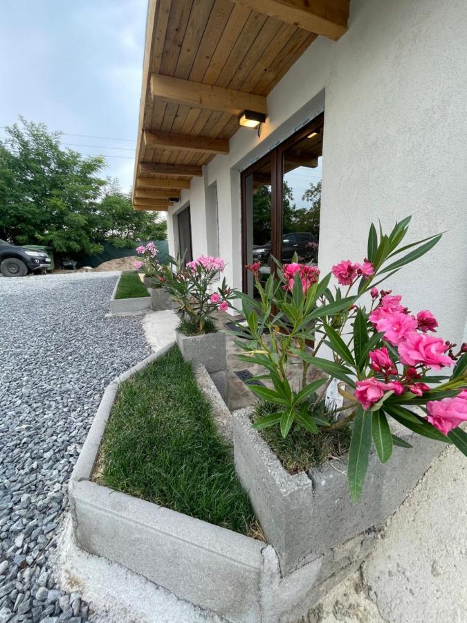 투르다 Wineyards Salin B&B 외부 사진