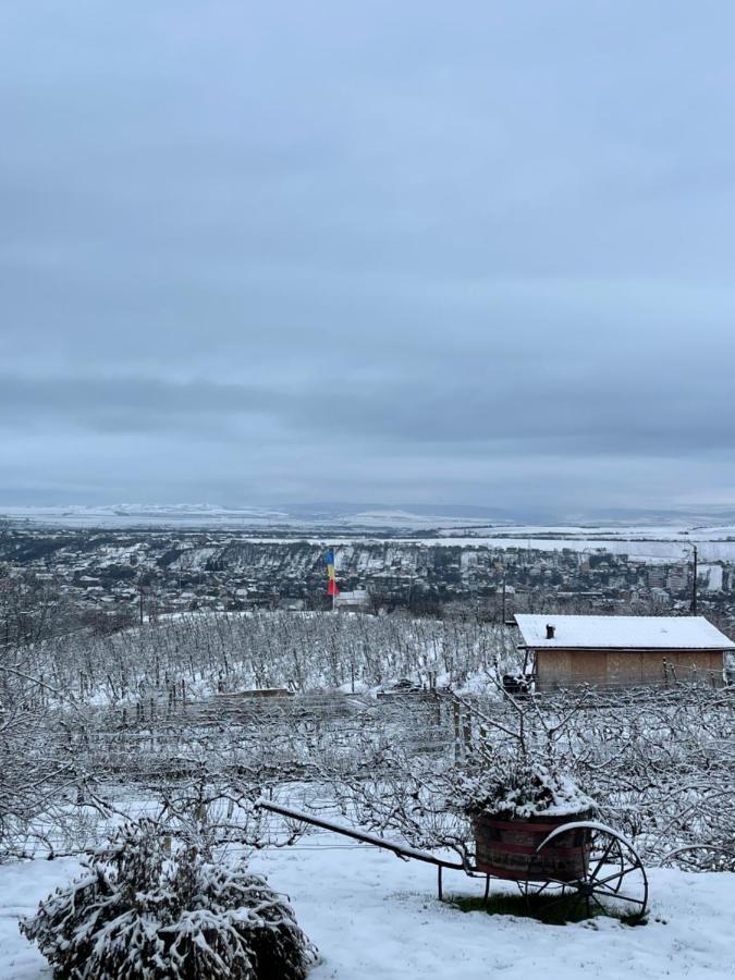 투르다 Wineyards Salin B&B 외부 사진