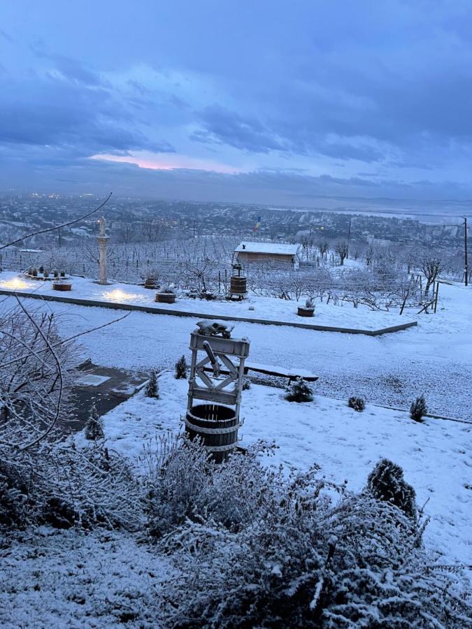 투르다 Wineyards Salin B&B 외부 사진