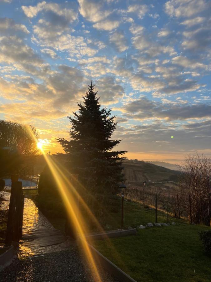 투르다 Wineyards Salin B&B 외부 사진