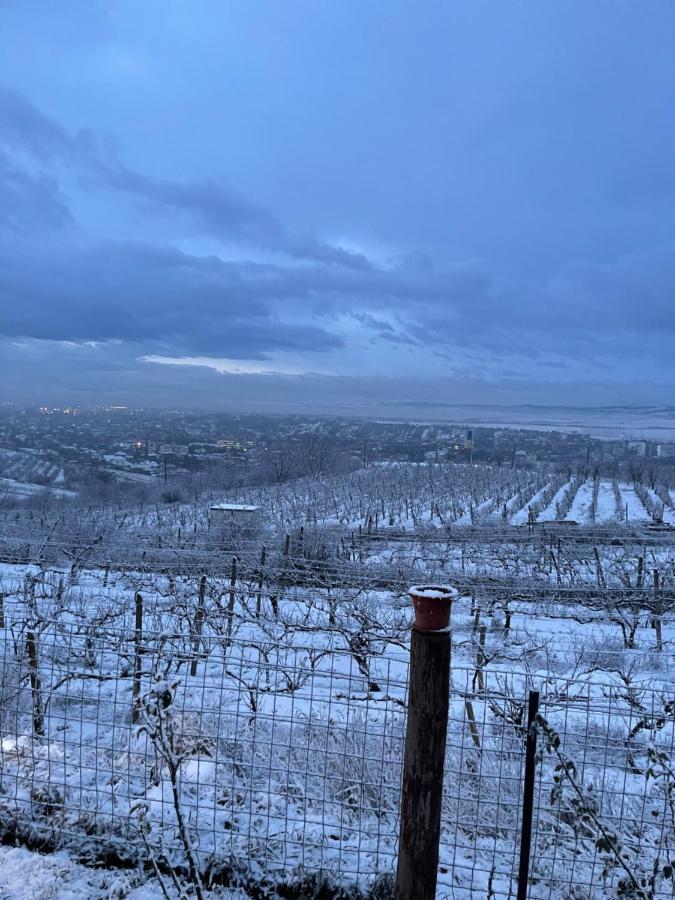 투르다 Wineyards Salin B&B 외부 사진