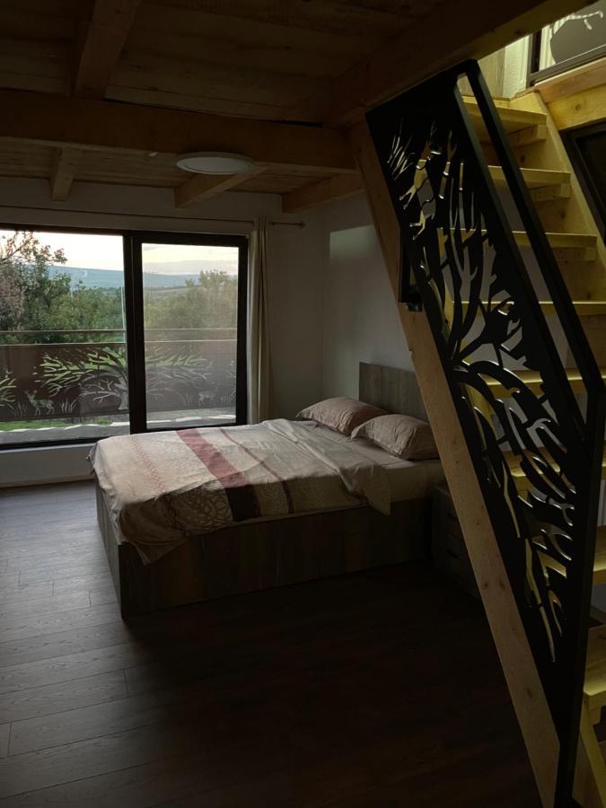 투르다 Wineyards Salin B&B 외부 사진